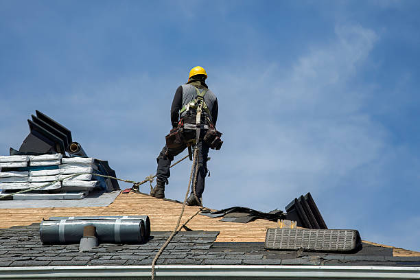 Professional Roof Replacement technician working in Rock Valley, IA